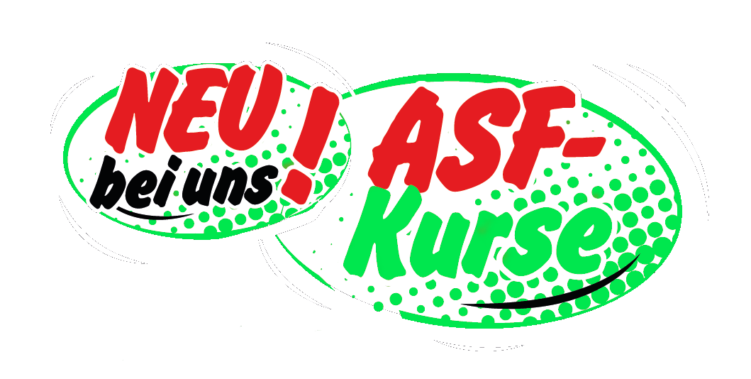 Aufbauseminare für Fahranfänger bei der Fahrschule Frank Dopf Karlsruhe